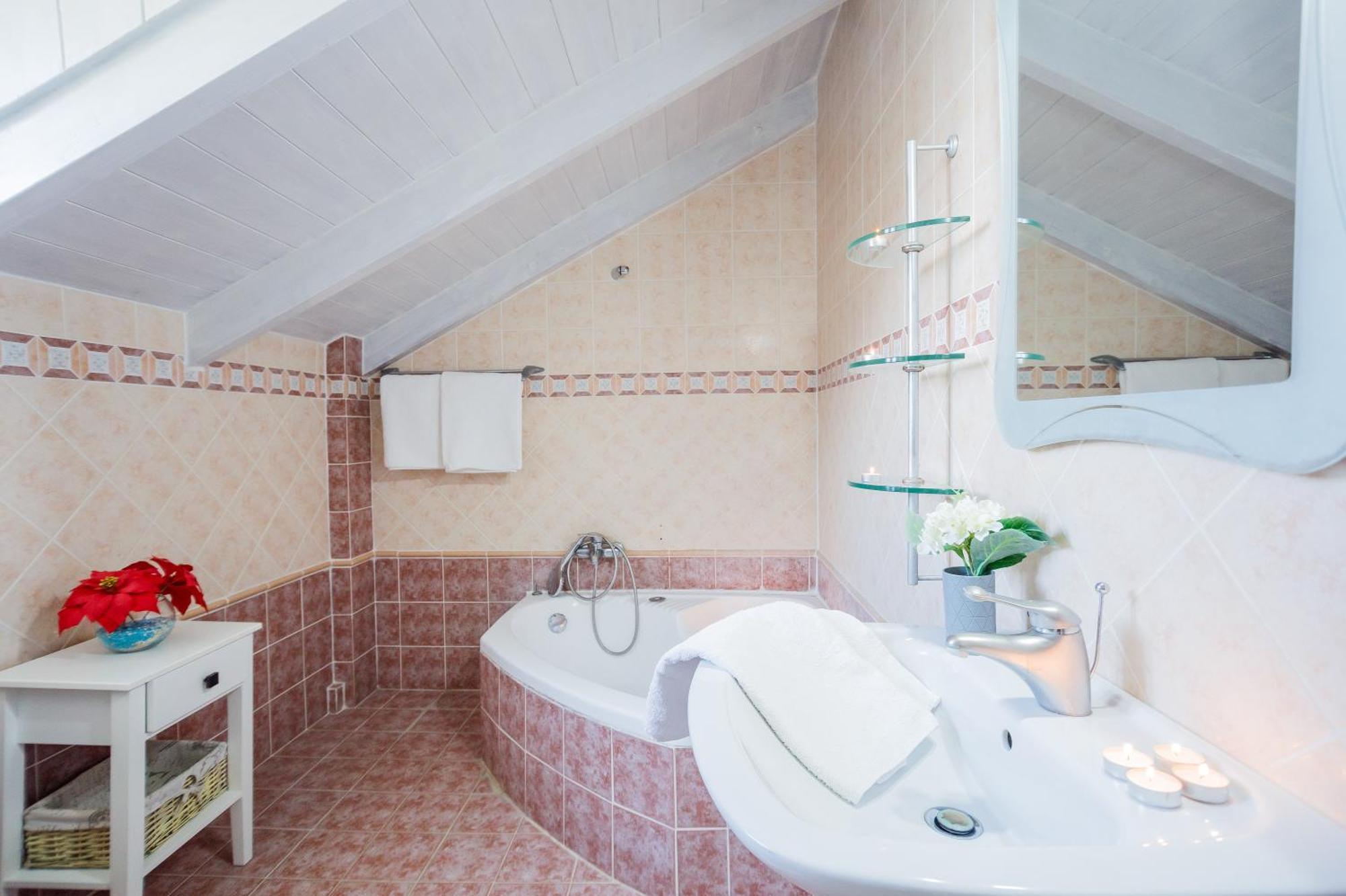 Tonias - Thea House And Vrachos Attic Αλυκανάς